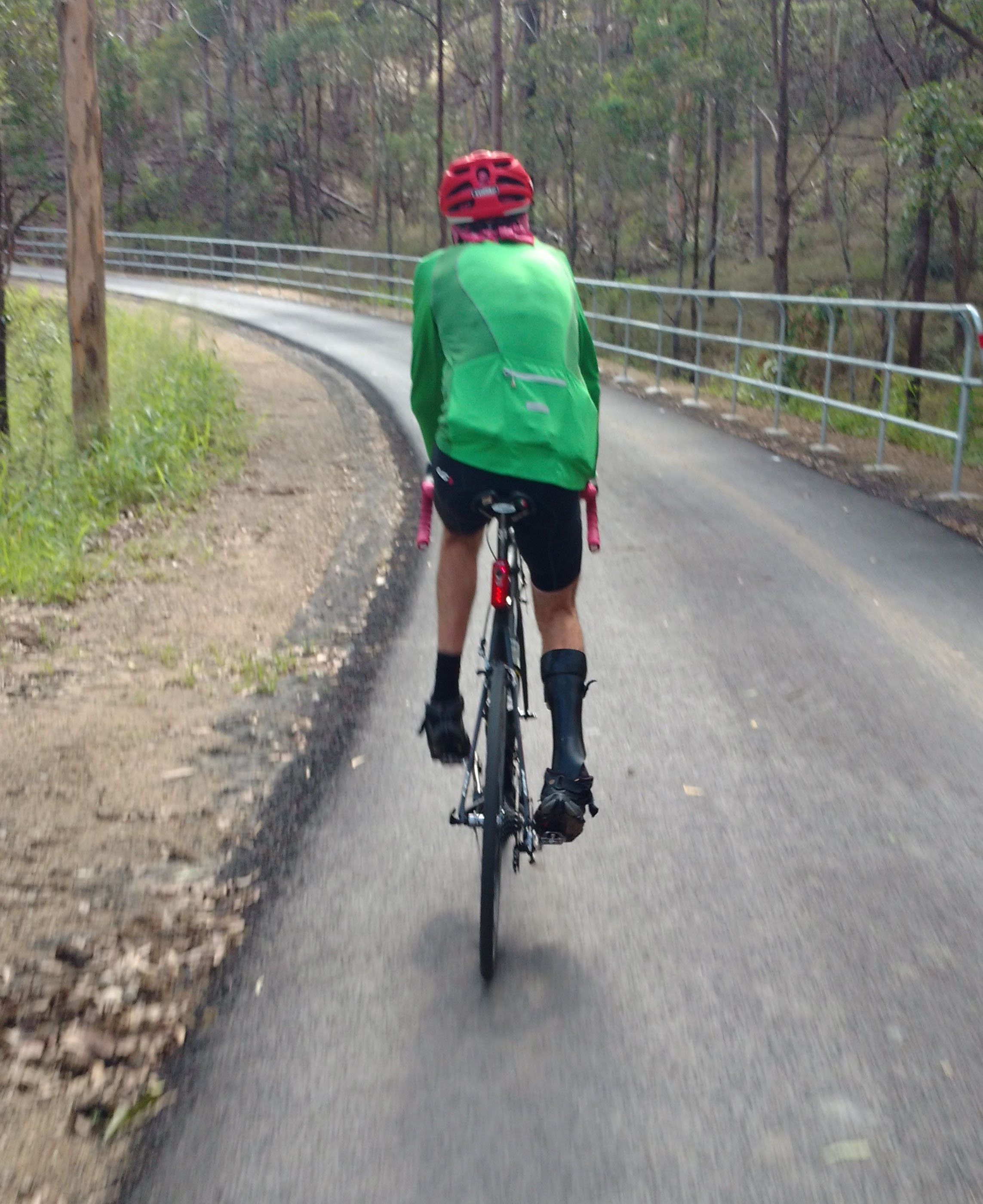 Samford to Ferny Grove Cycle Link Department of Transport and